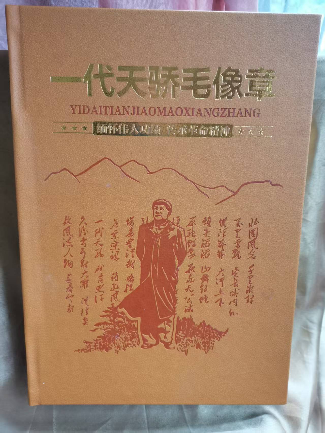 一代天骄毛像章AD7357