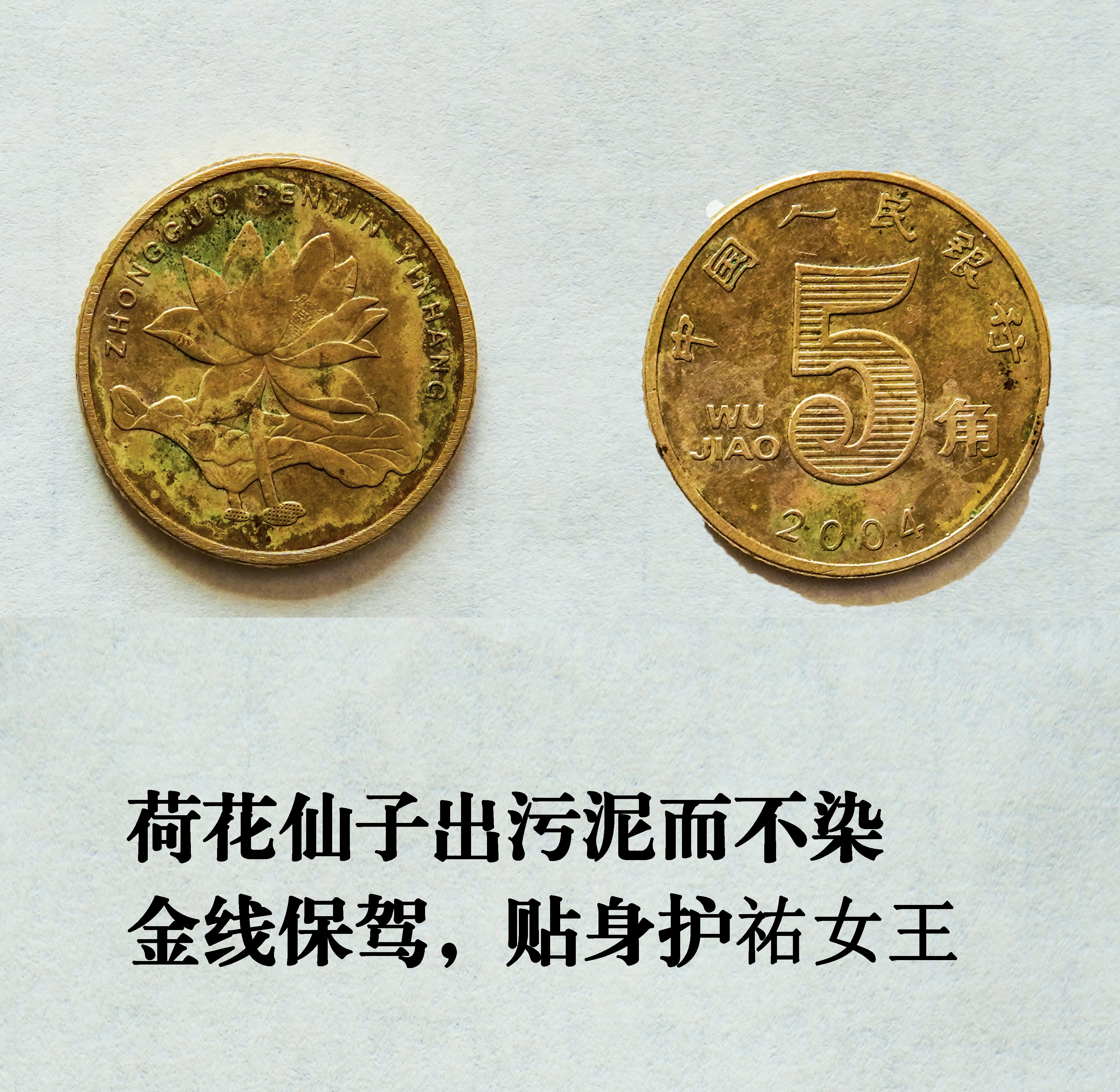 荷仙出污泥而不染AD7564