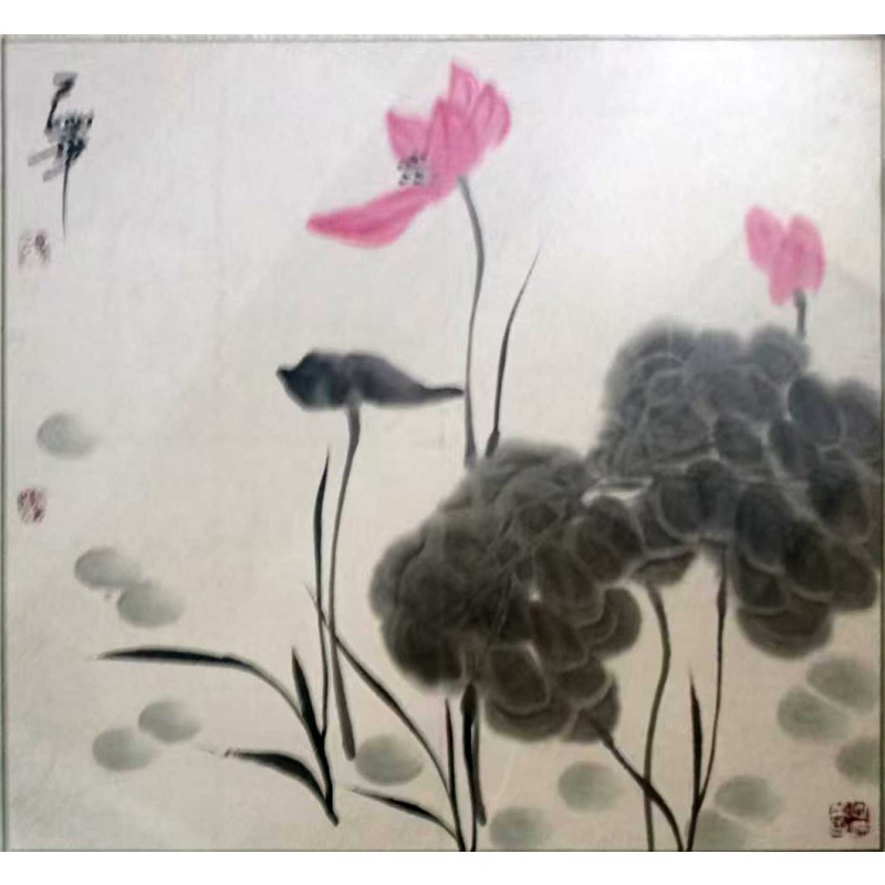 荷花图AB3616