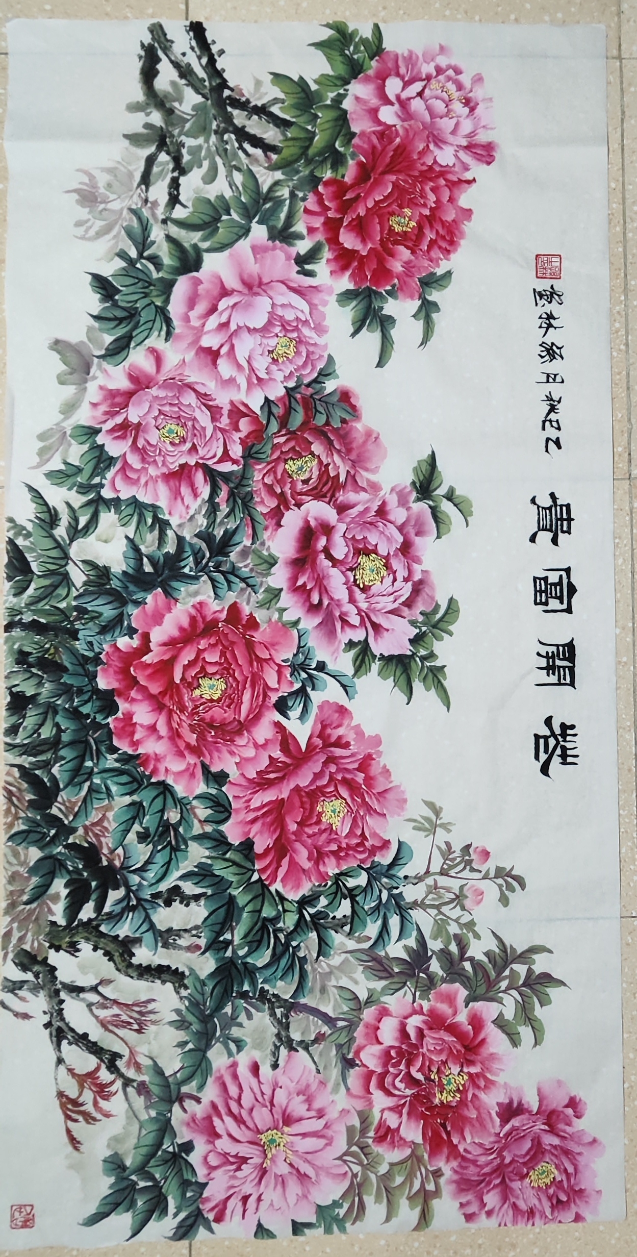 孙林  牡丹