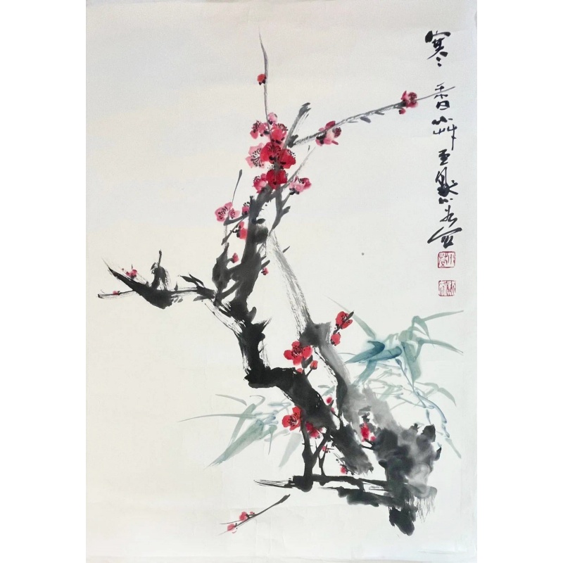 寒香AC0739