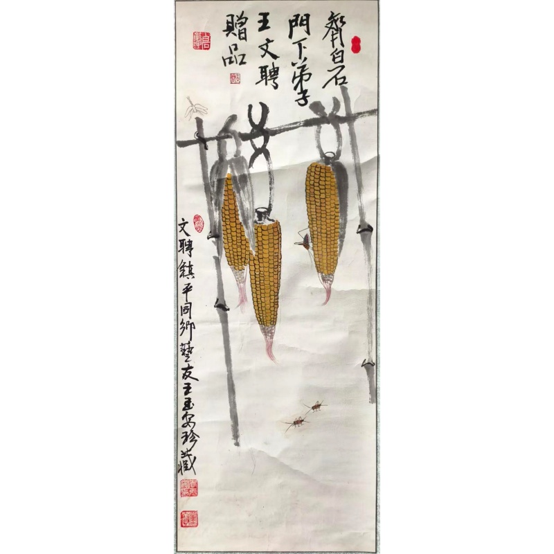 玉米草虫图AE1629