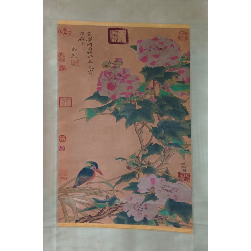 芙蓉翠鸟图AF1118