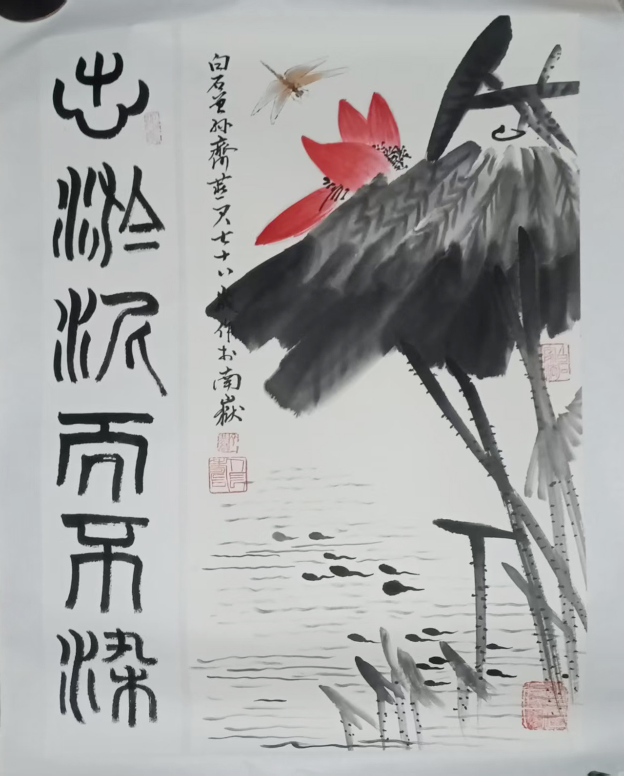 齐燕君  出淤泥而不染AD8578