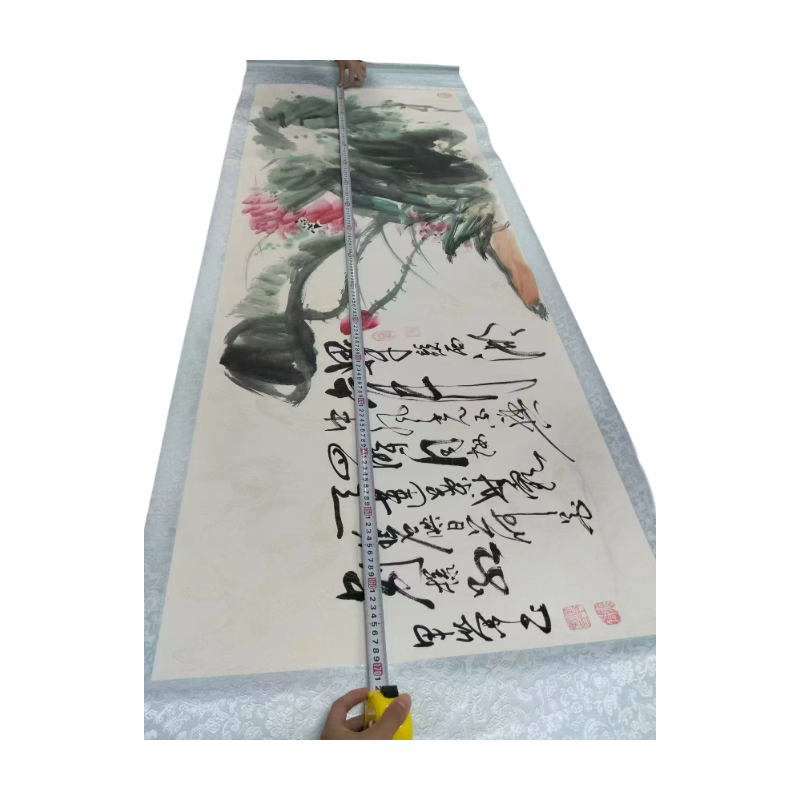 荷花图AC1253