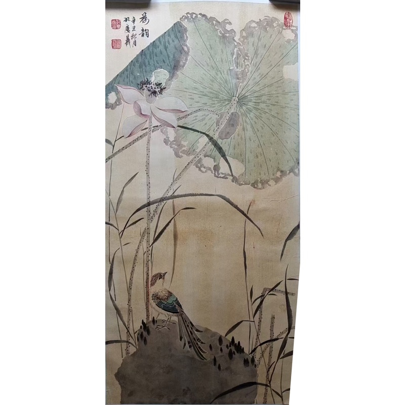 孔庆义  荷韵AE1815