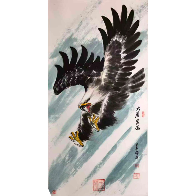 萧卫华的大鹏展翅AE1758