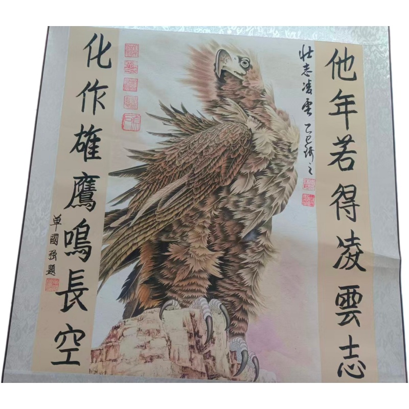 壮志凌云AE2005