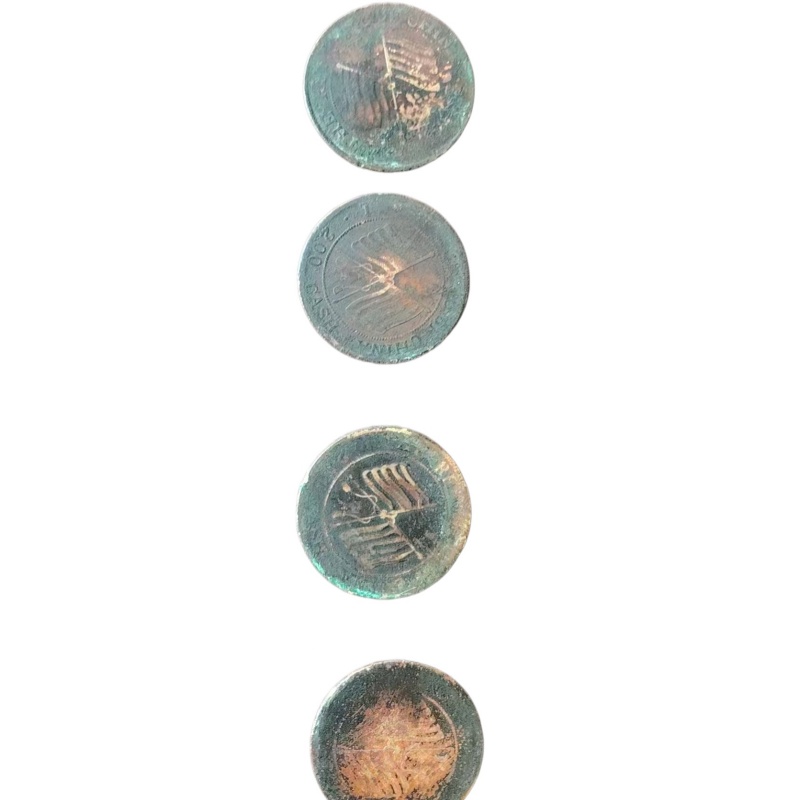 双旗币AK1484