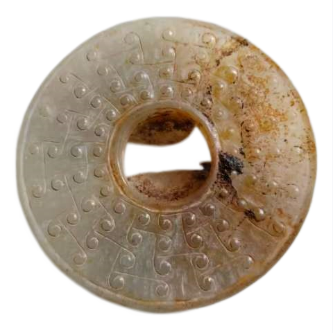 龙币AD9261