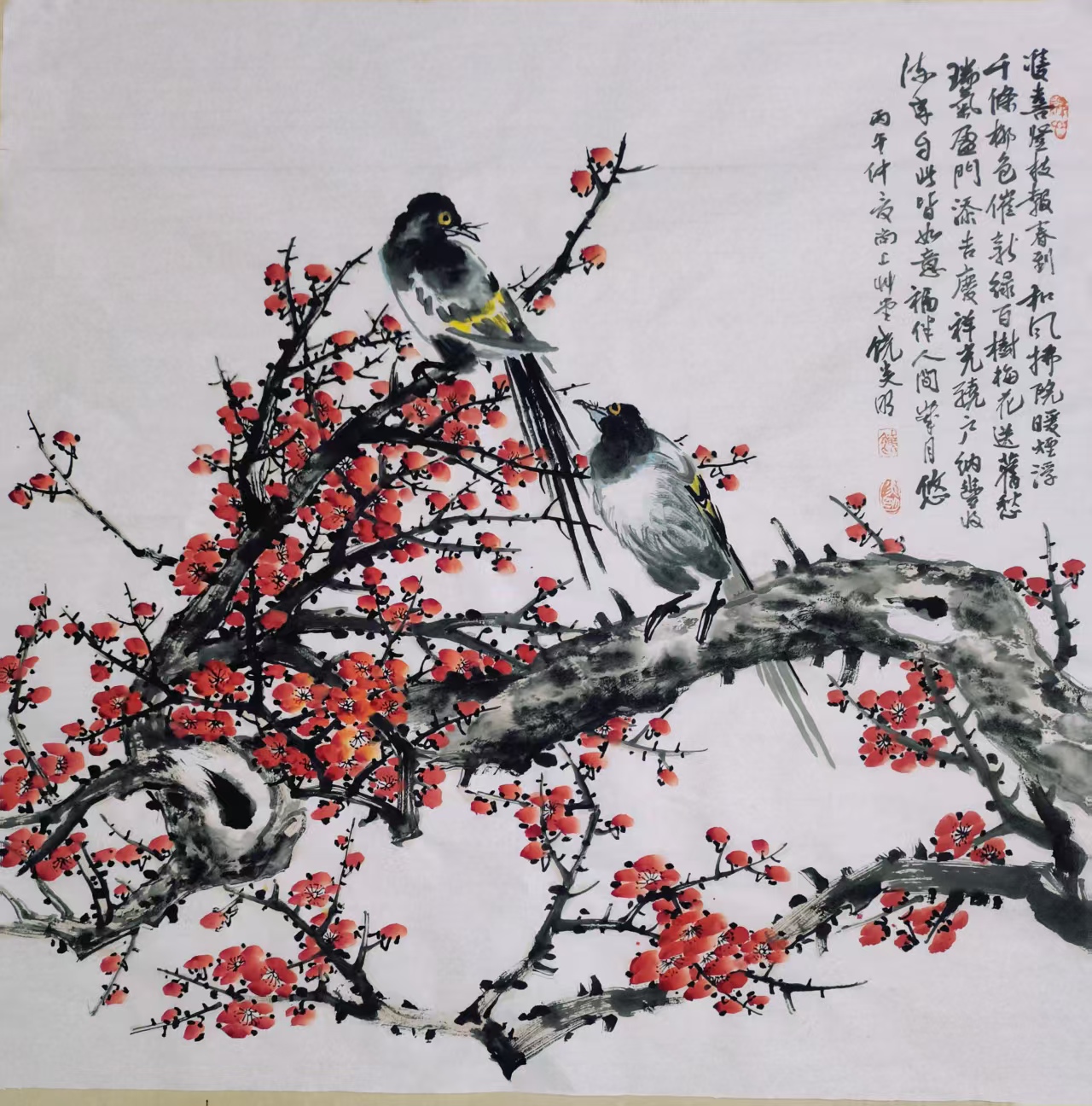 双喜报春AG1375