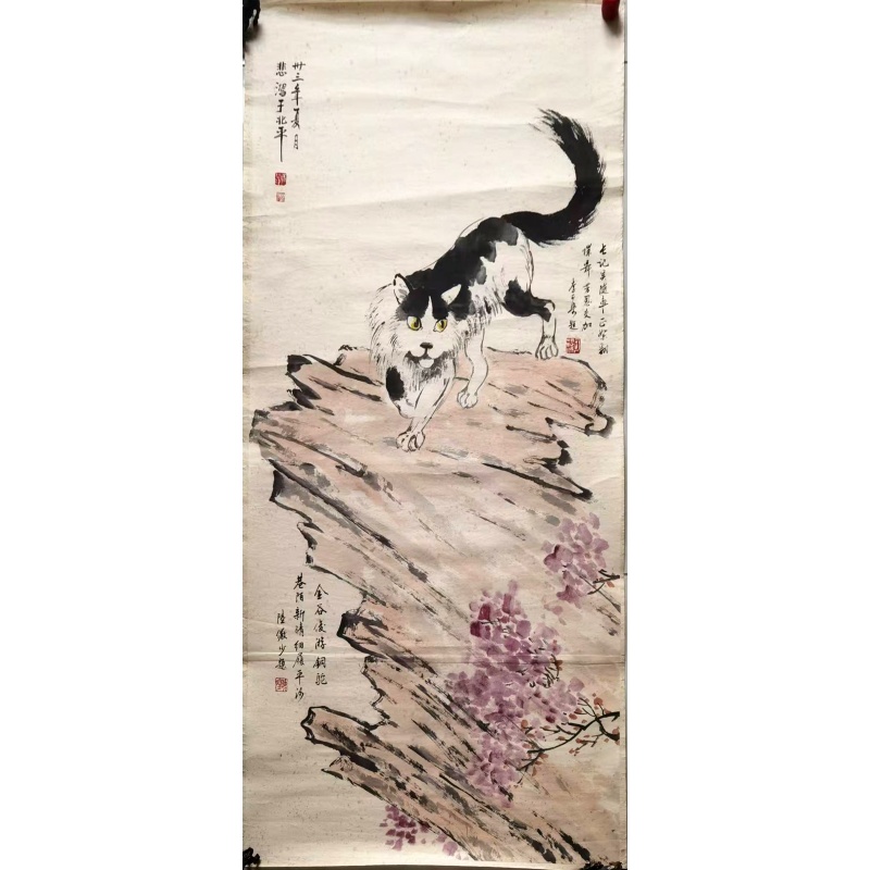 猫AB02015