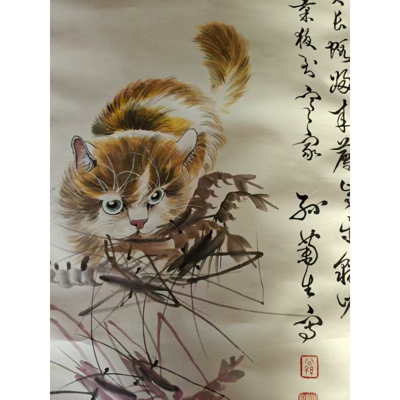 猫 孙菊生AK1602