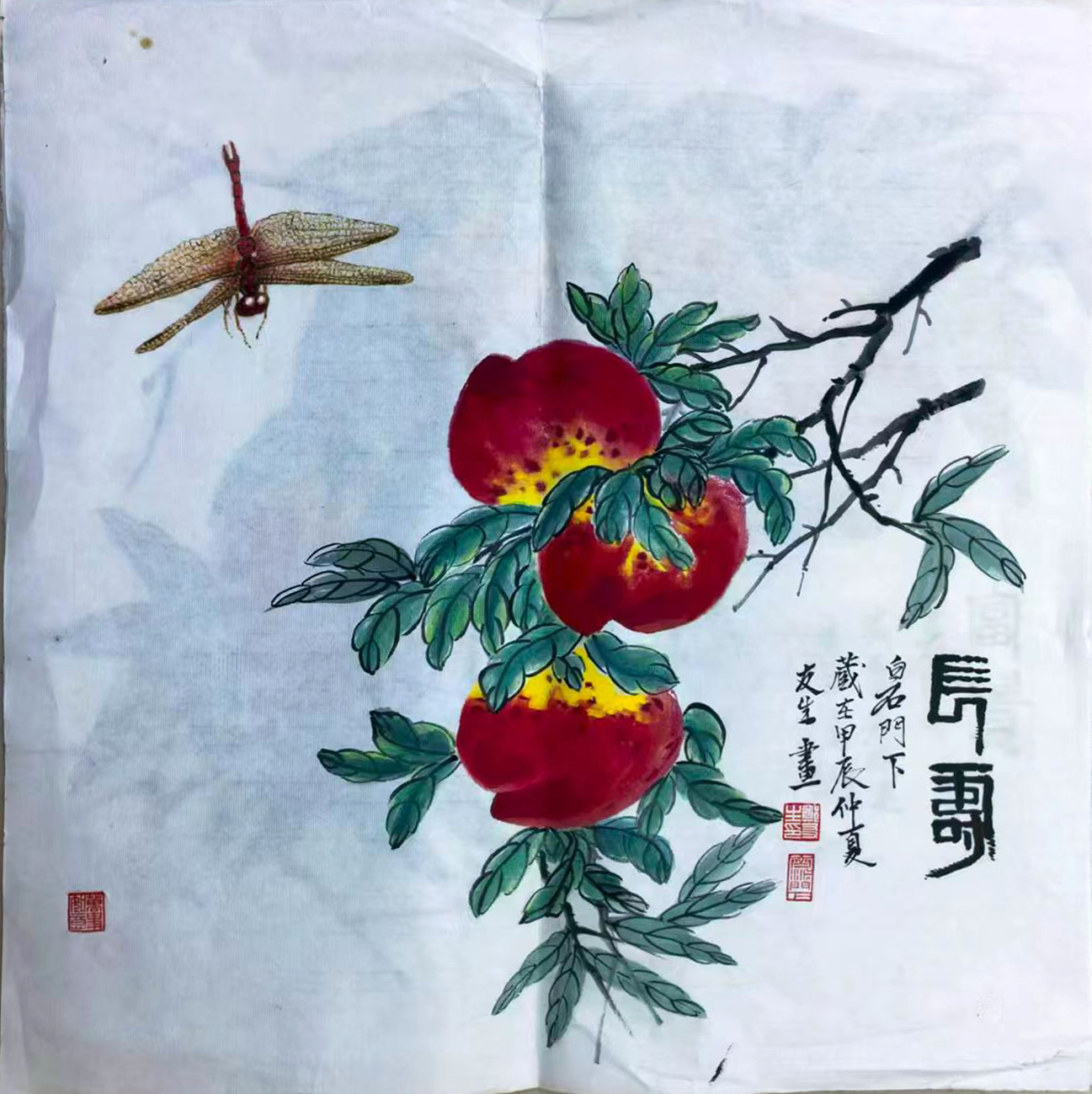 国画《长寿》寿桃蜻蜓斗方AB02059
