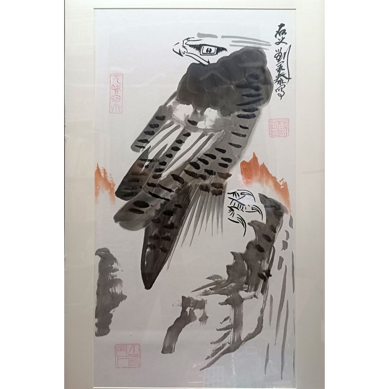 刘永泰 雄鹰AE2213
