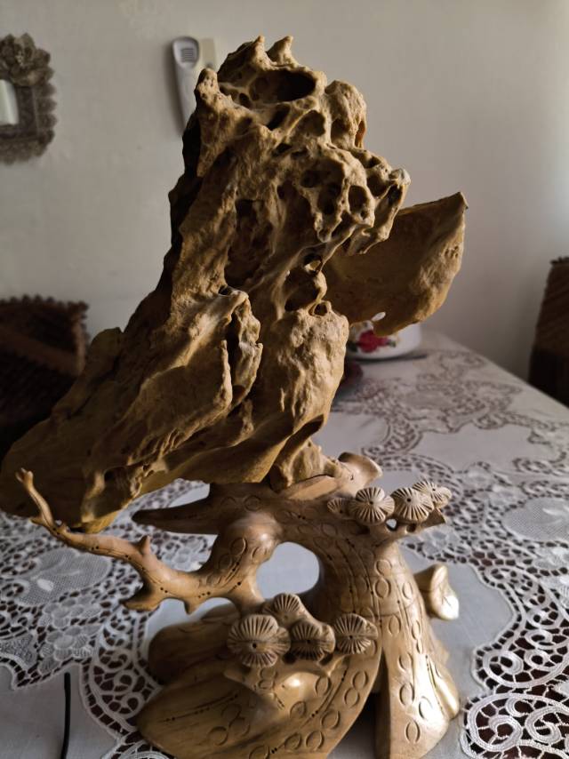 猛禽