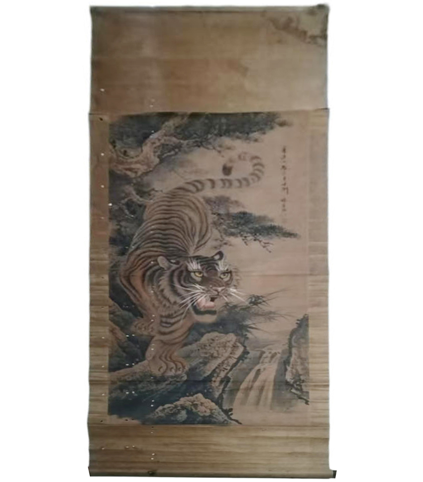 张善孖的下山虎AD9649