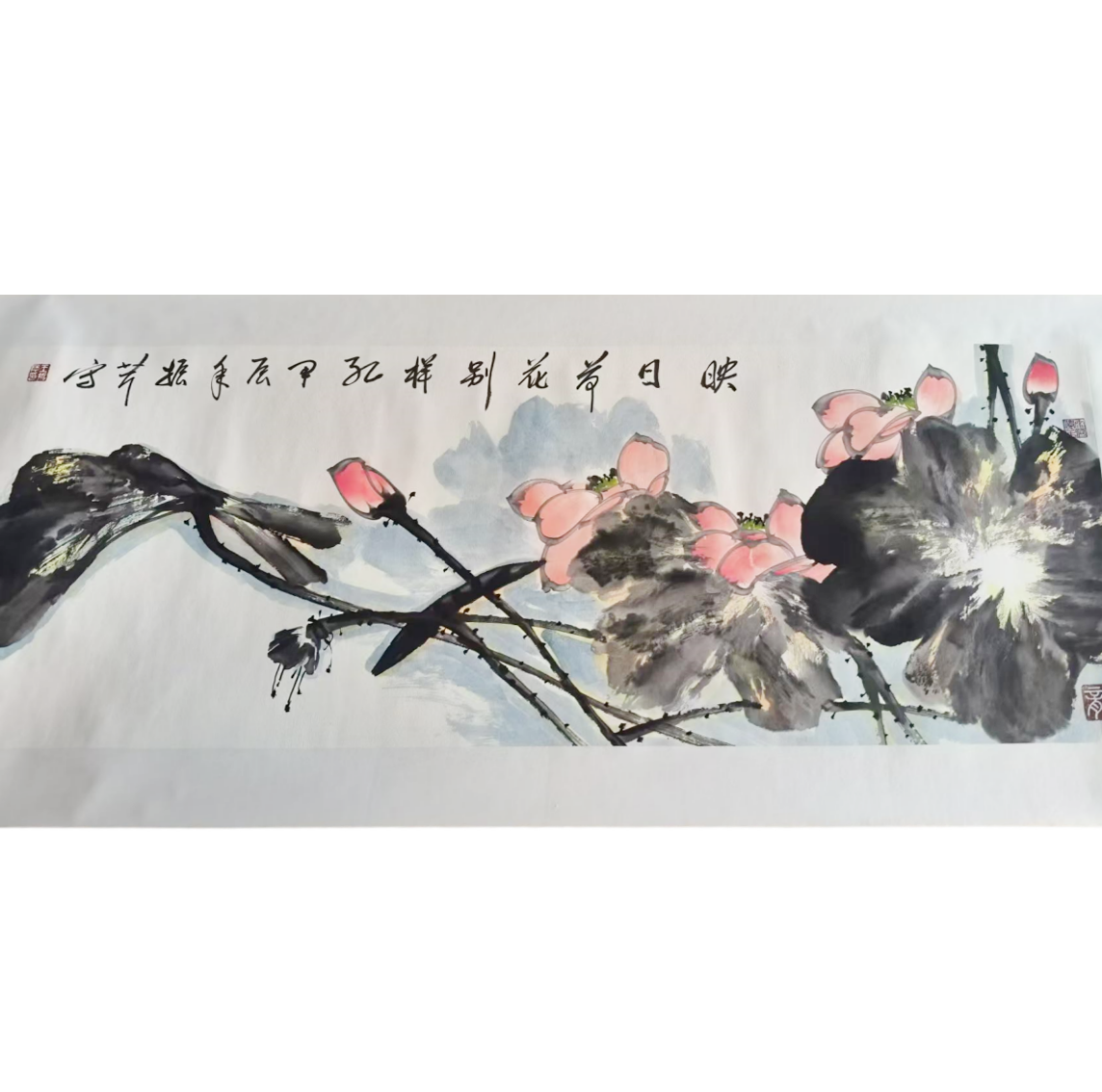 王振芹荷花AD9729