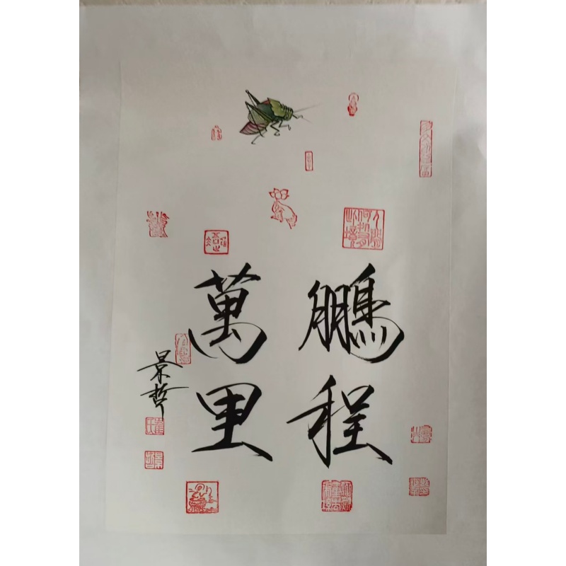 鹏程万里书法小品AC6397