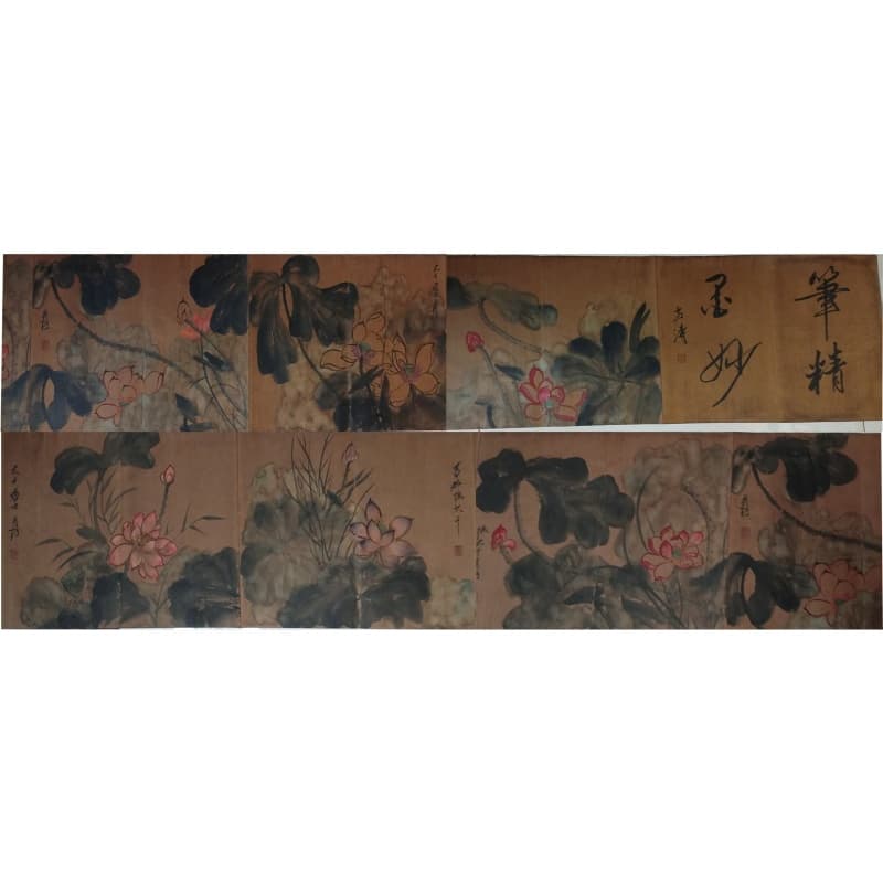 荷花长卷AB02111