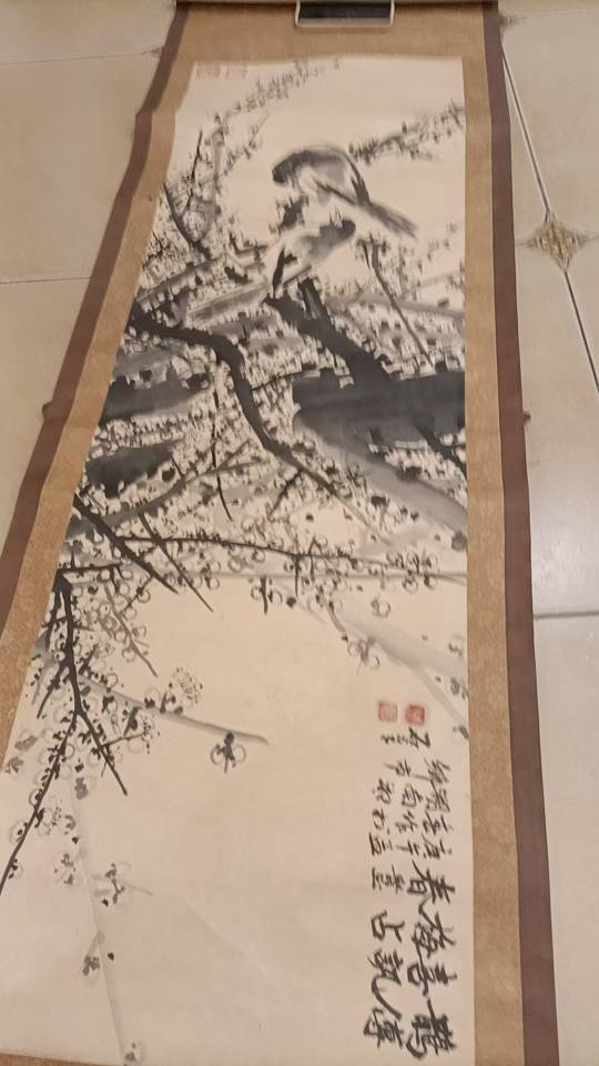 花鸟