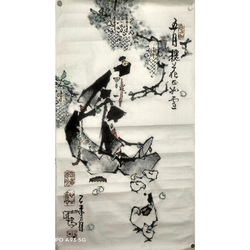 五月槐花正如雪AH0919