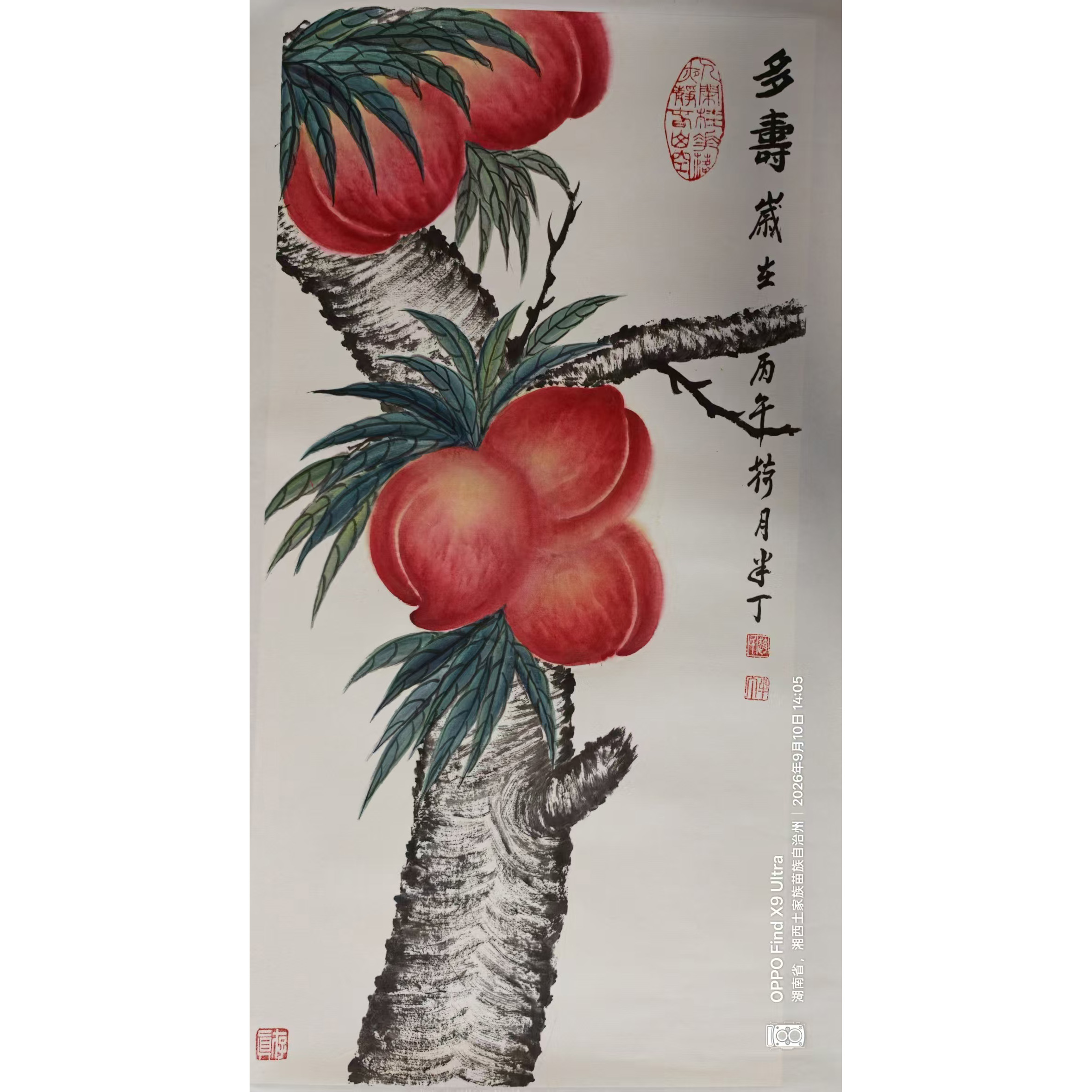 多寿AD2717
