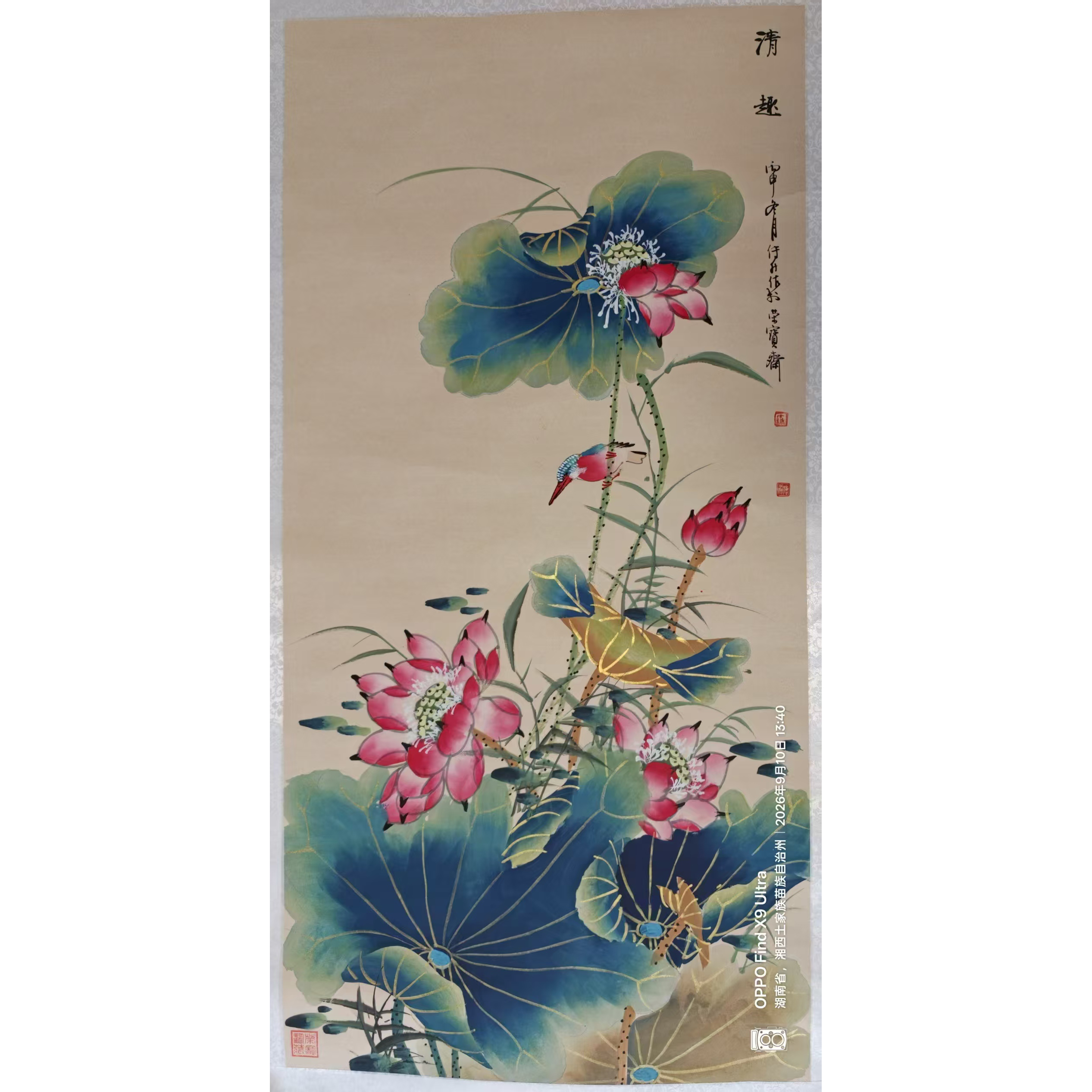 清趣(荷花)AD2716