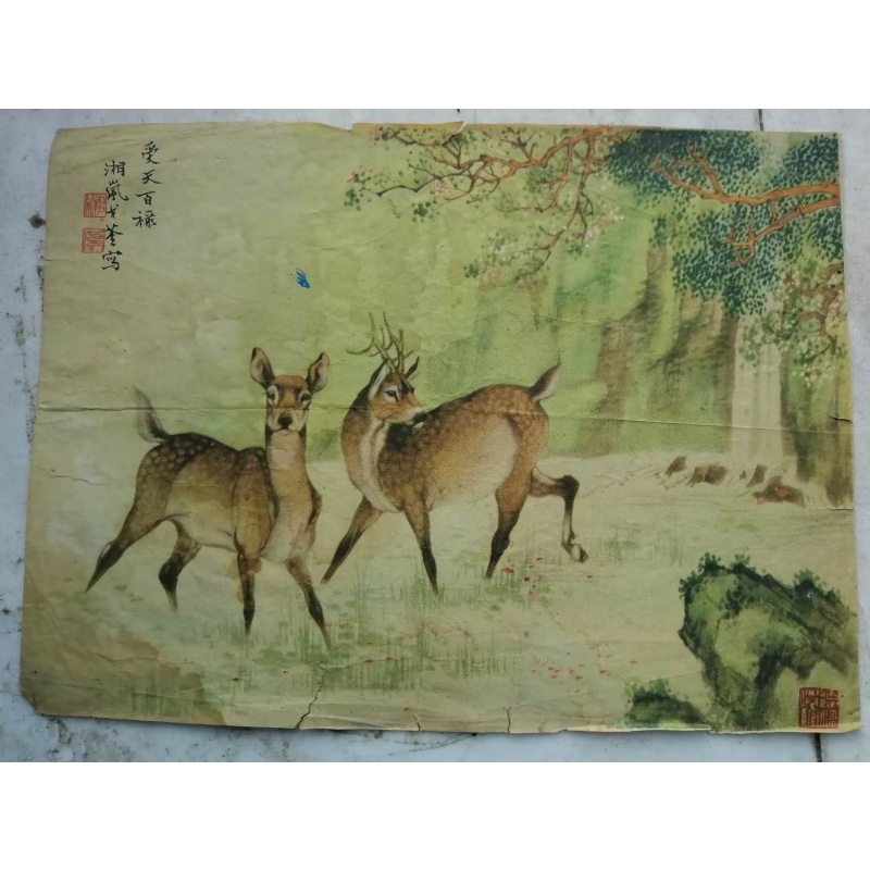 受天百禄AE3126