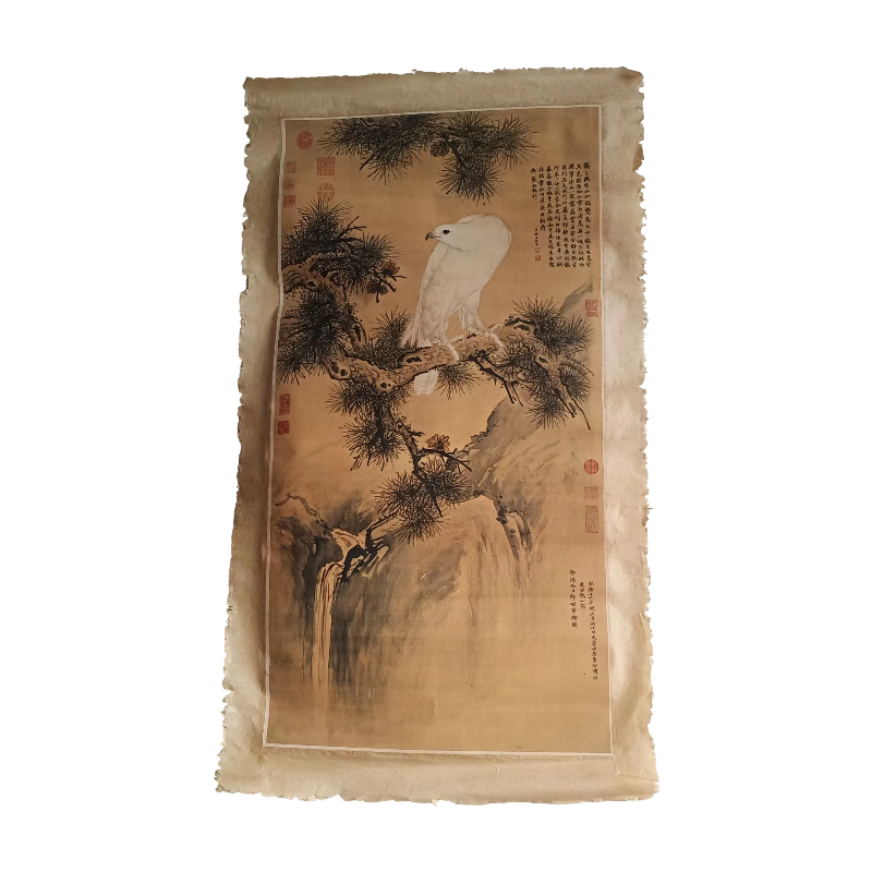 白鹰图AB6903